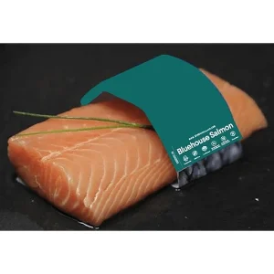 Bluehouse Salmon Fillet