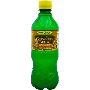 Home Choice Soda Ginger Beer