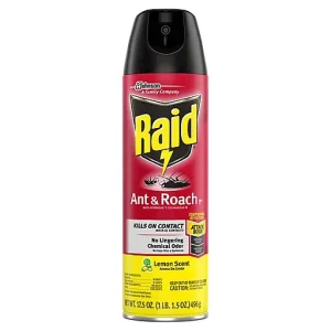 Raid Ant & Roach Killer 26, Lemon Scent 17.5 Oz